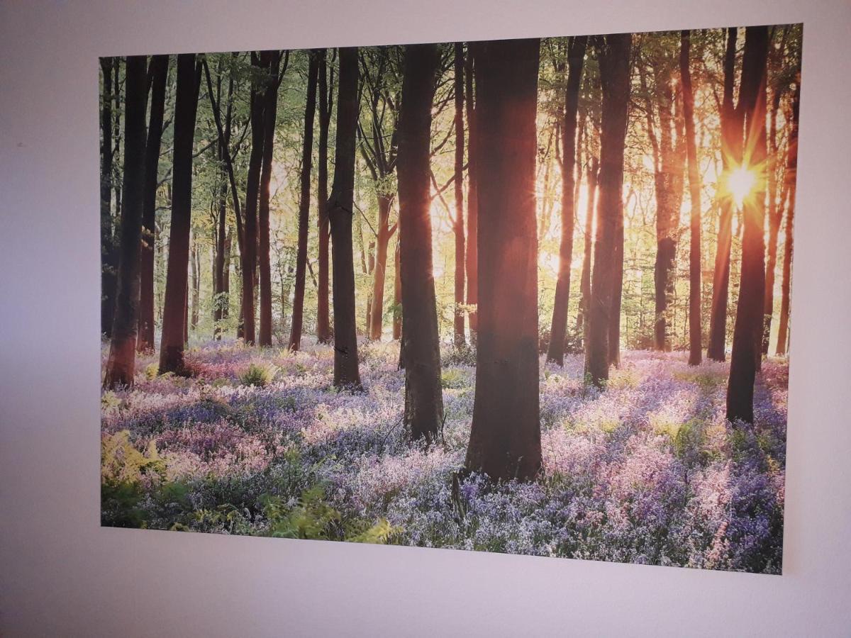 Heidehaus Hodenhagen Apartment ภายนอก รูปภาพ